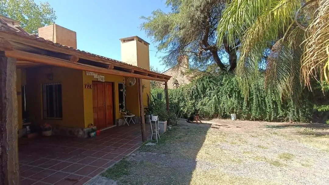 Foto 7