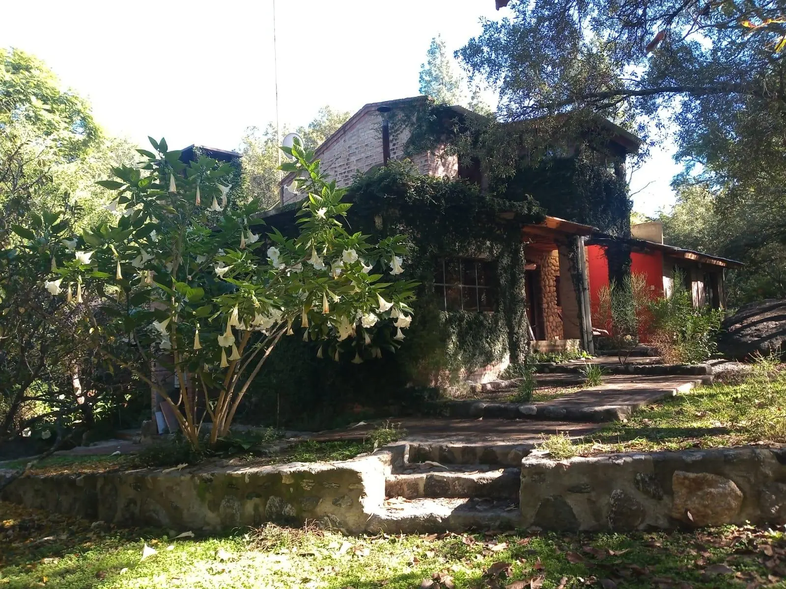 Foto 62