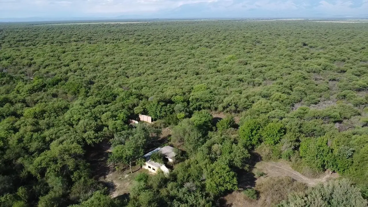 Foto 31
