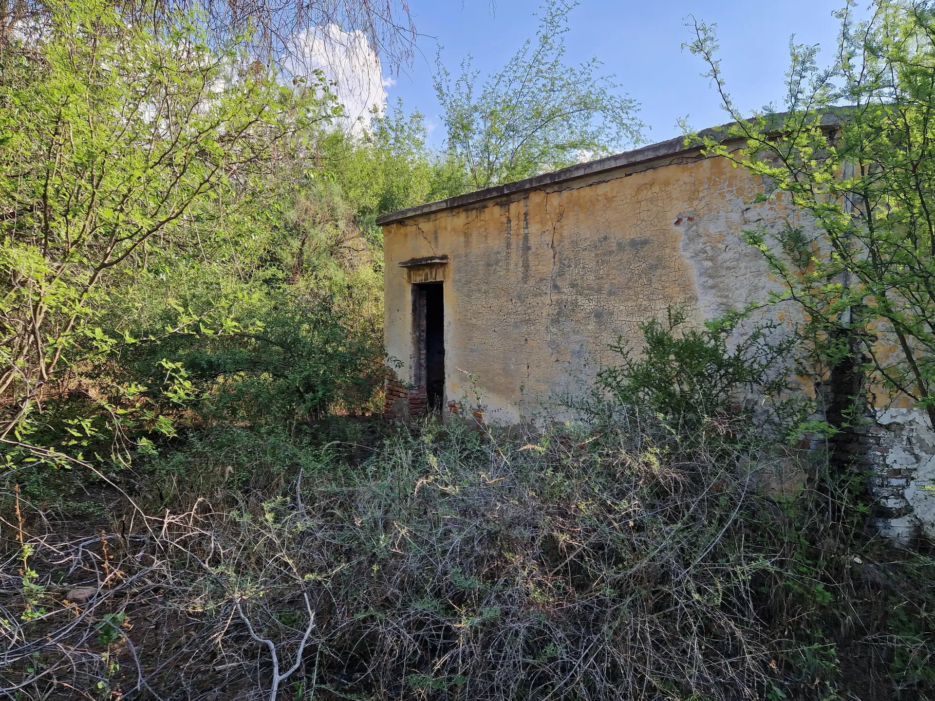 Foto 11