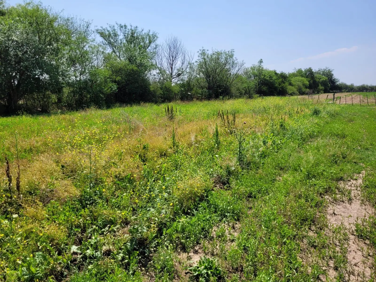 Terreno en venta · San Javier, Córdoba