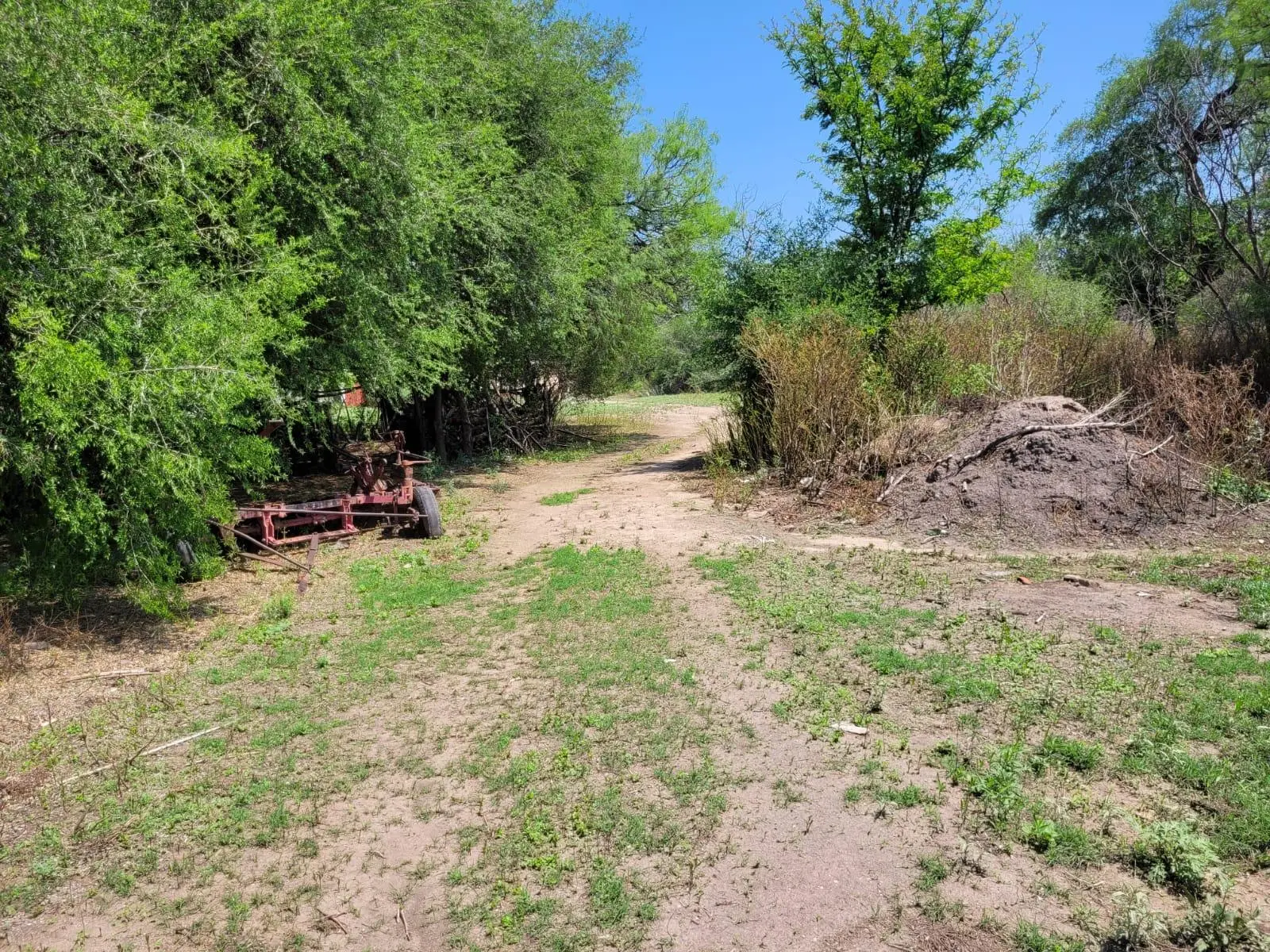 Foto 16