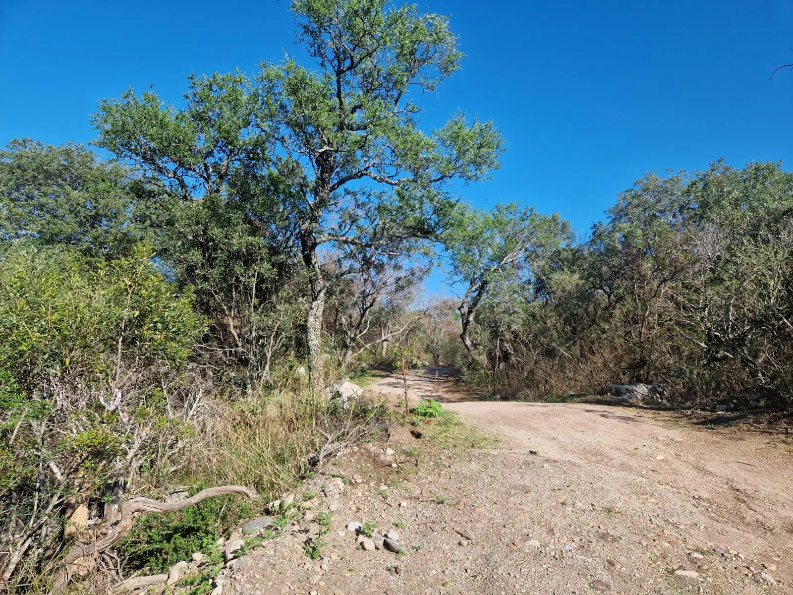 Terreno en venta · Las Chacras, San Javier, Córdoba