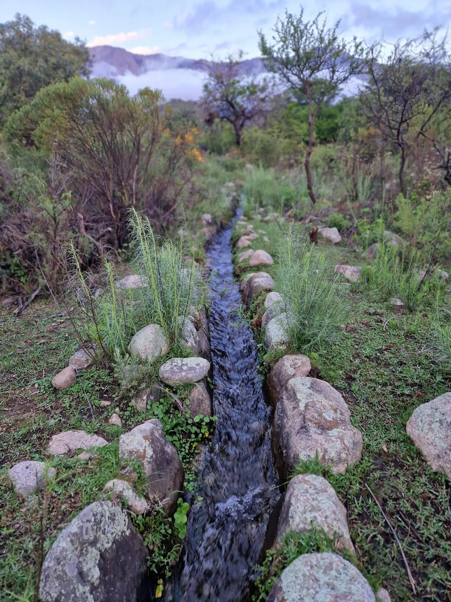 Foto 15