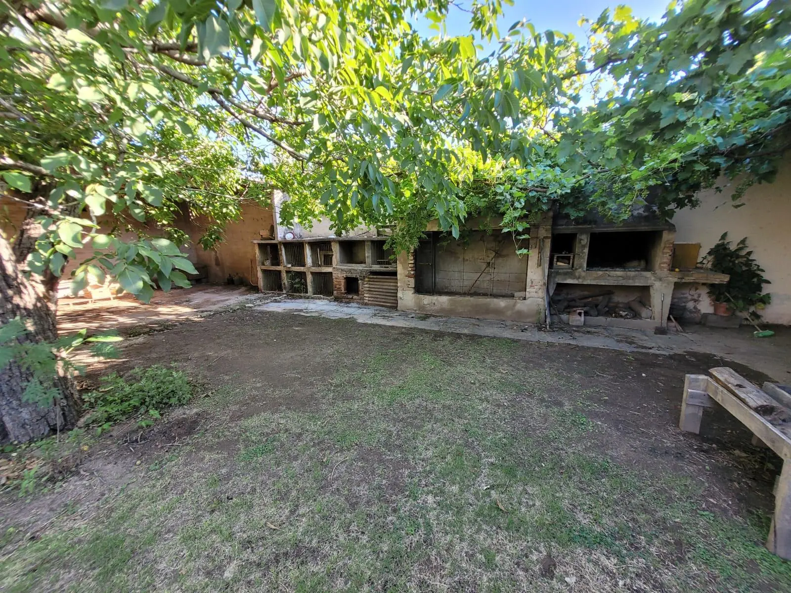 Foto 15