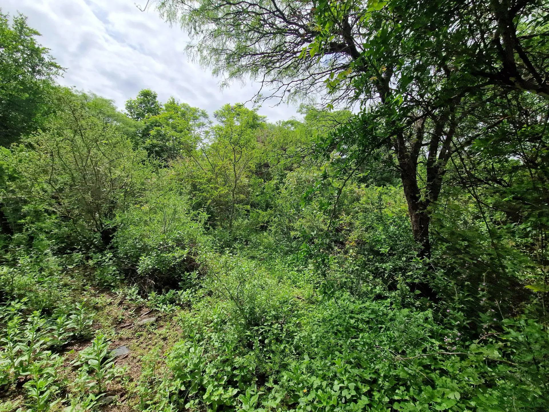 Foto 6