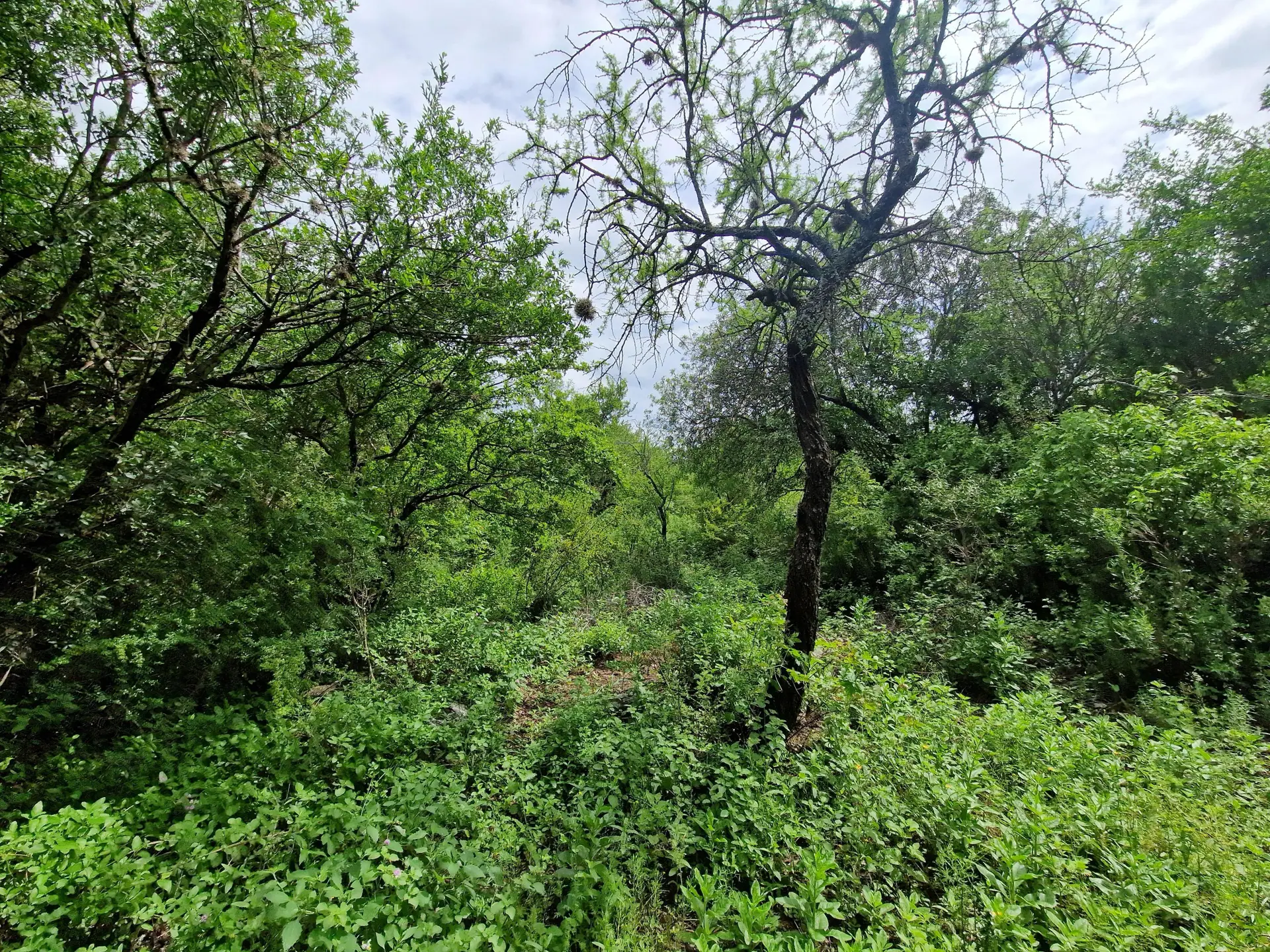 Terreno en venta · San Javier, San Javier, Córdoba