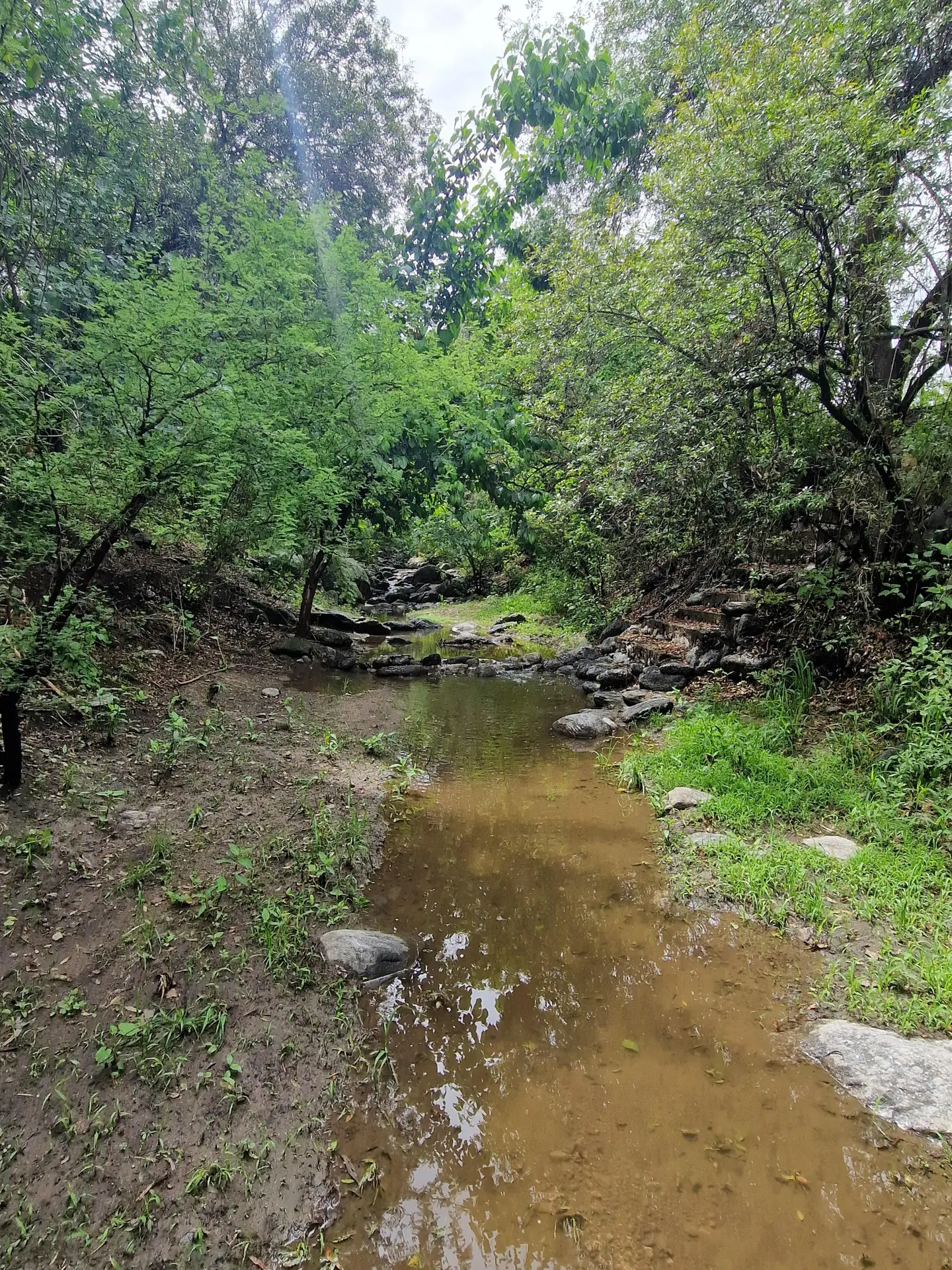 Foto 11