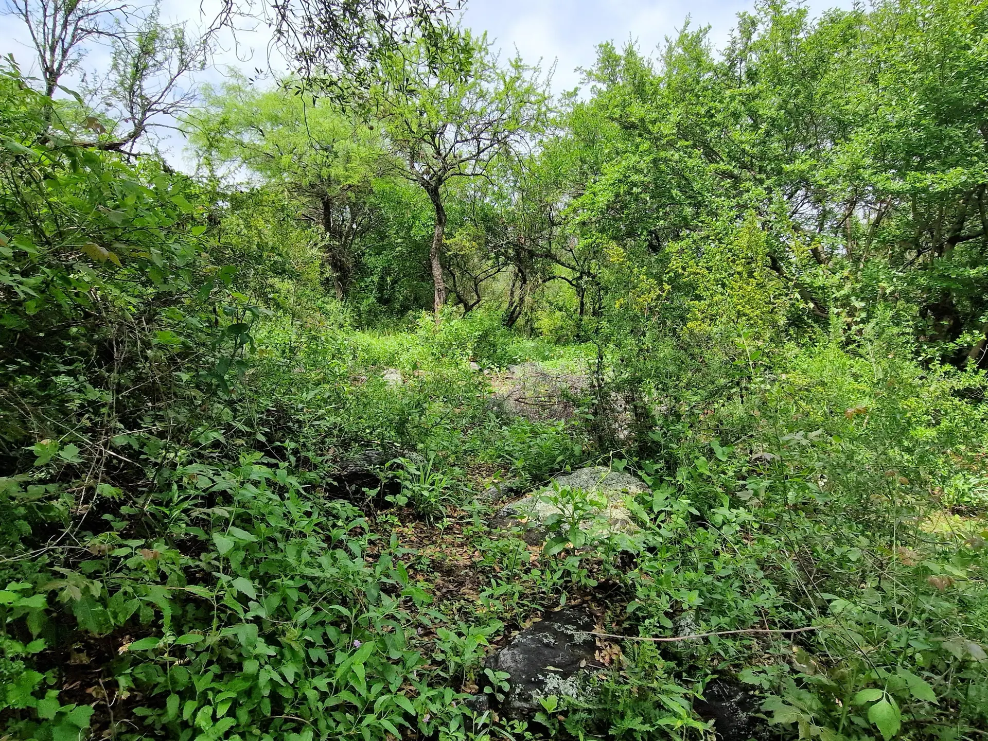Foto 17