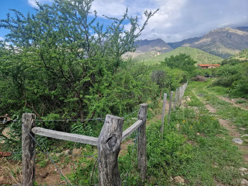 Terreno en venta · Las Rabonas, San Alberto, Córdoba