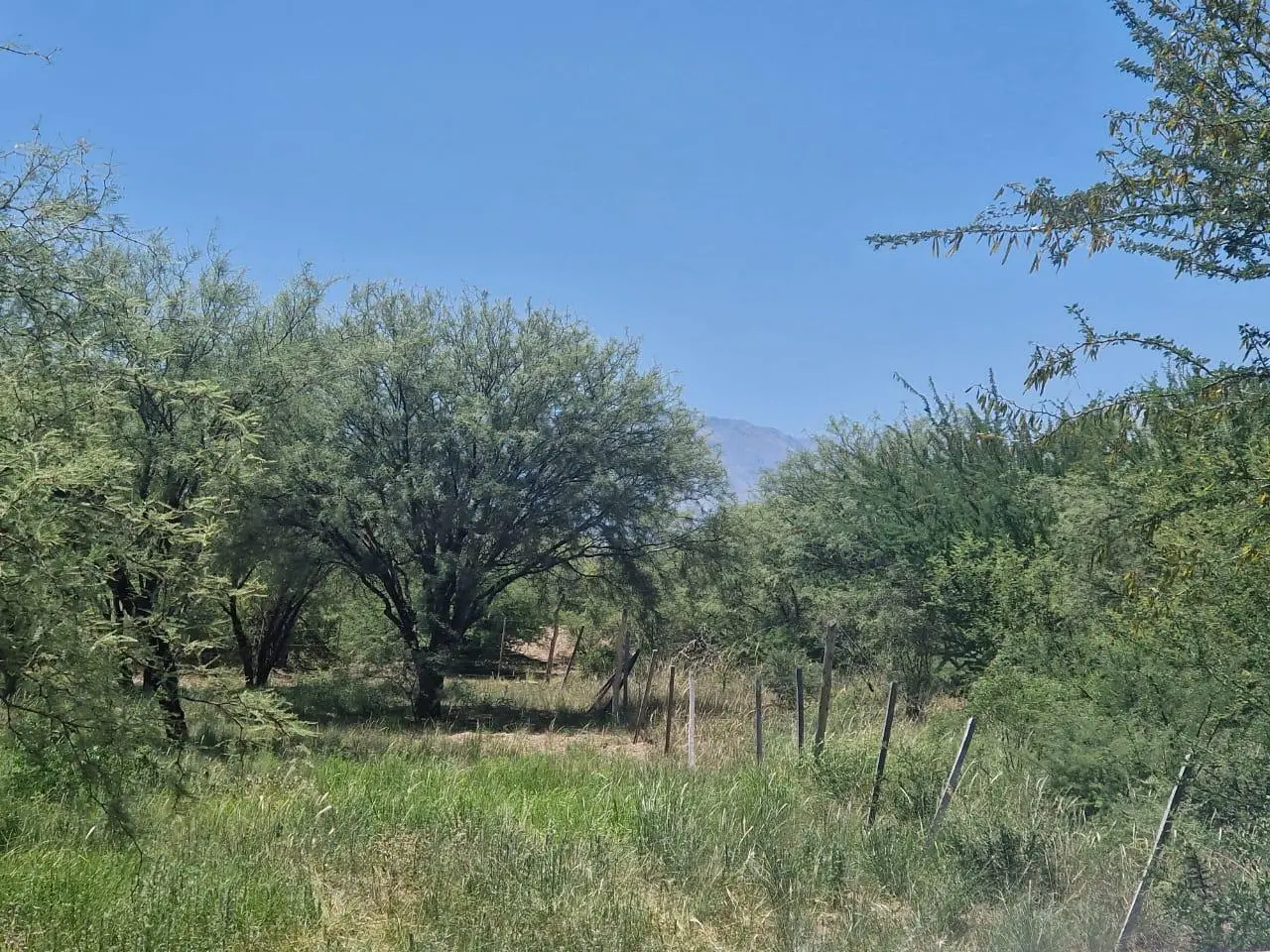 Terreno en venta · San Javier, Córdoba
