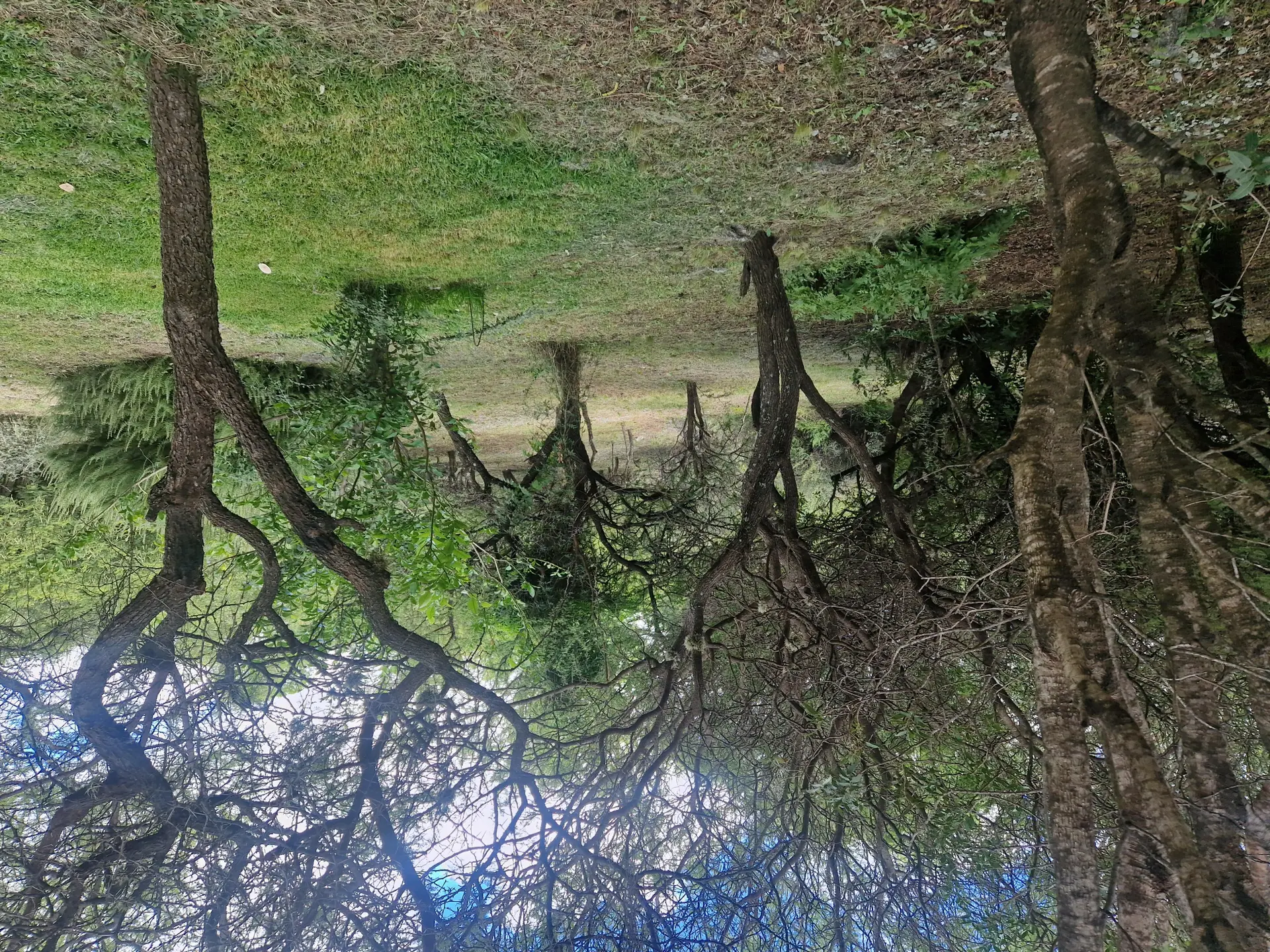 Foto 19