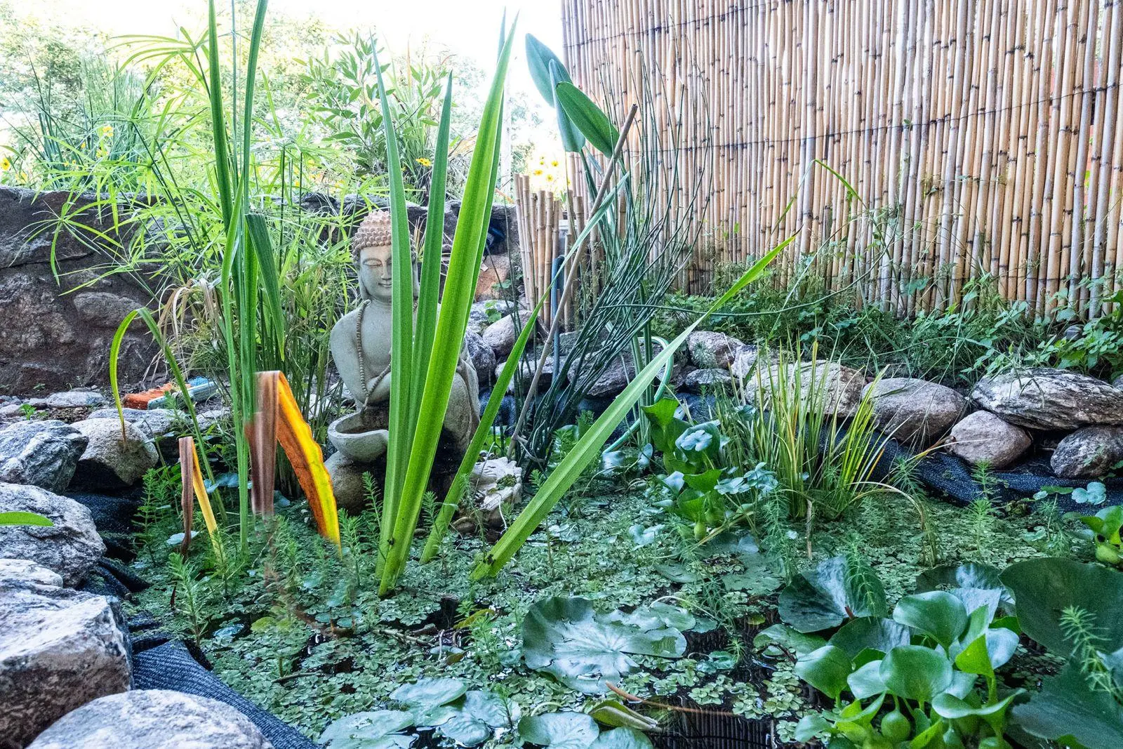 Foto 19