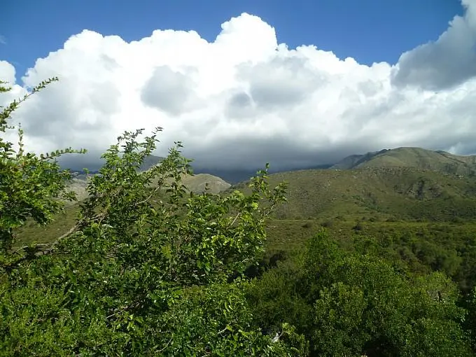 Foto 7