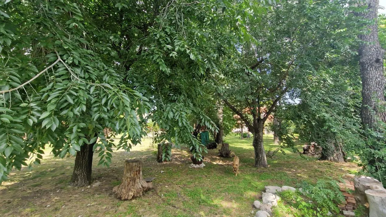 Foto 24
