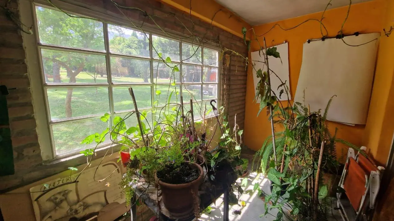 Foto 57