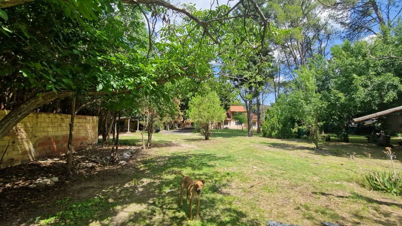 Foto 21