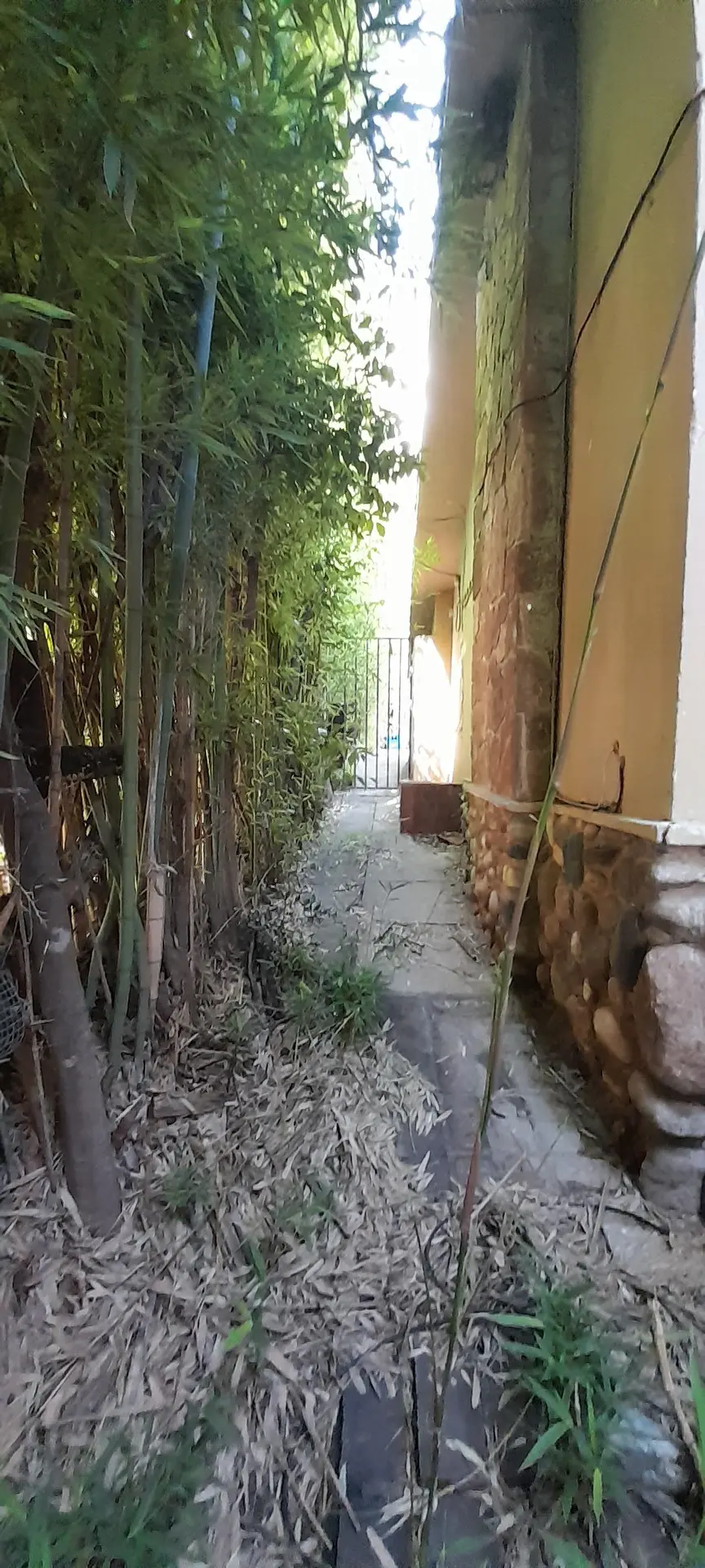 Foto 40