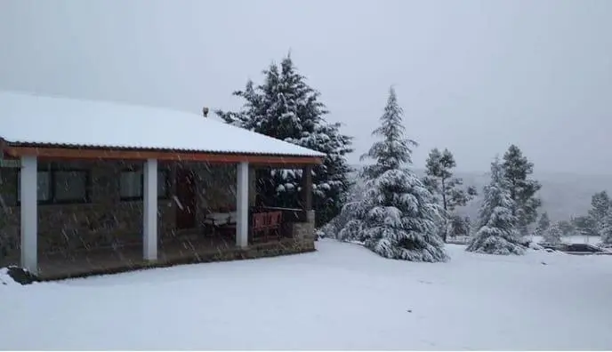 Foto 15
