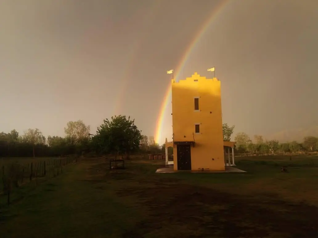 Foto 12