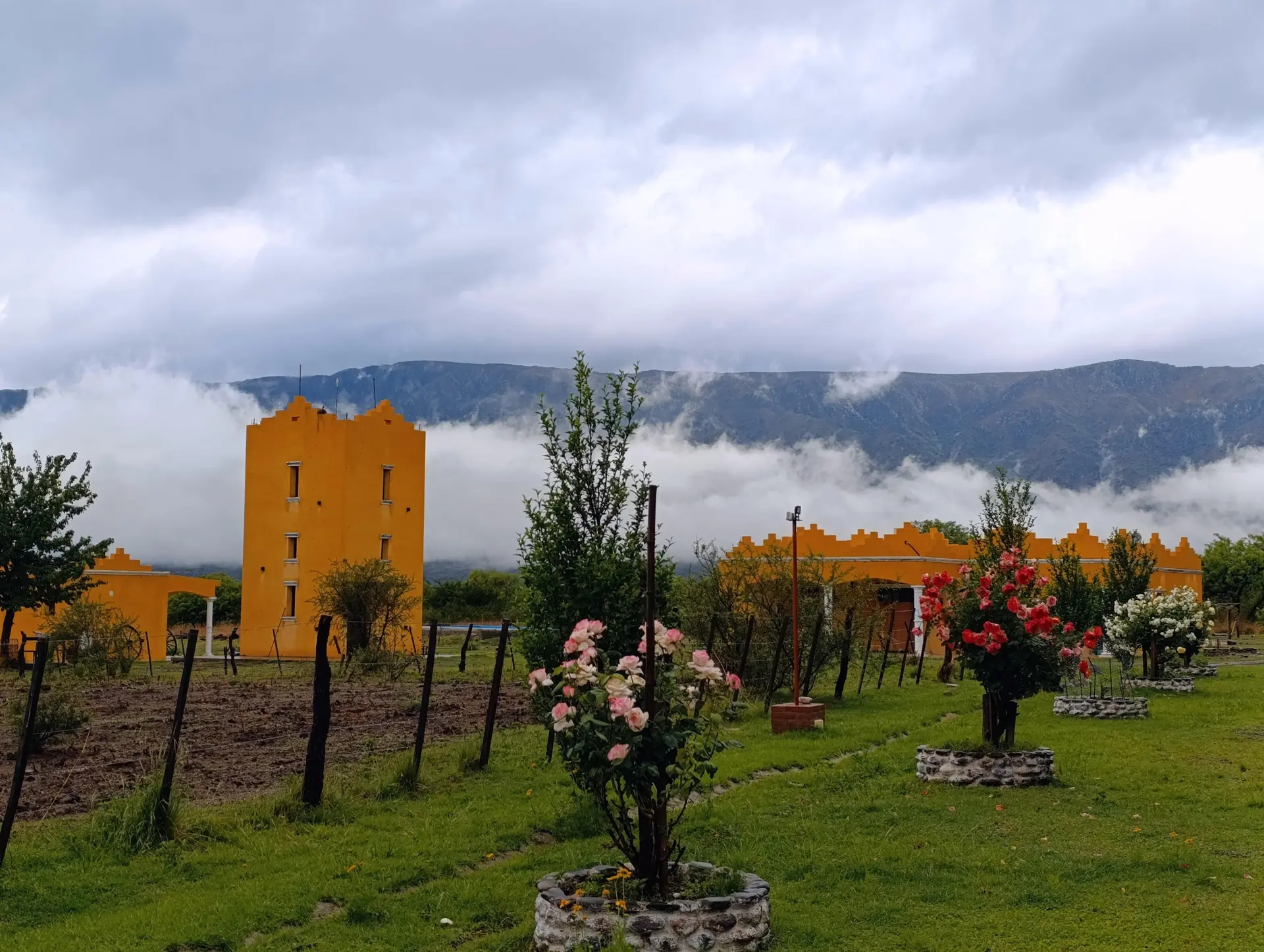 Foto 5