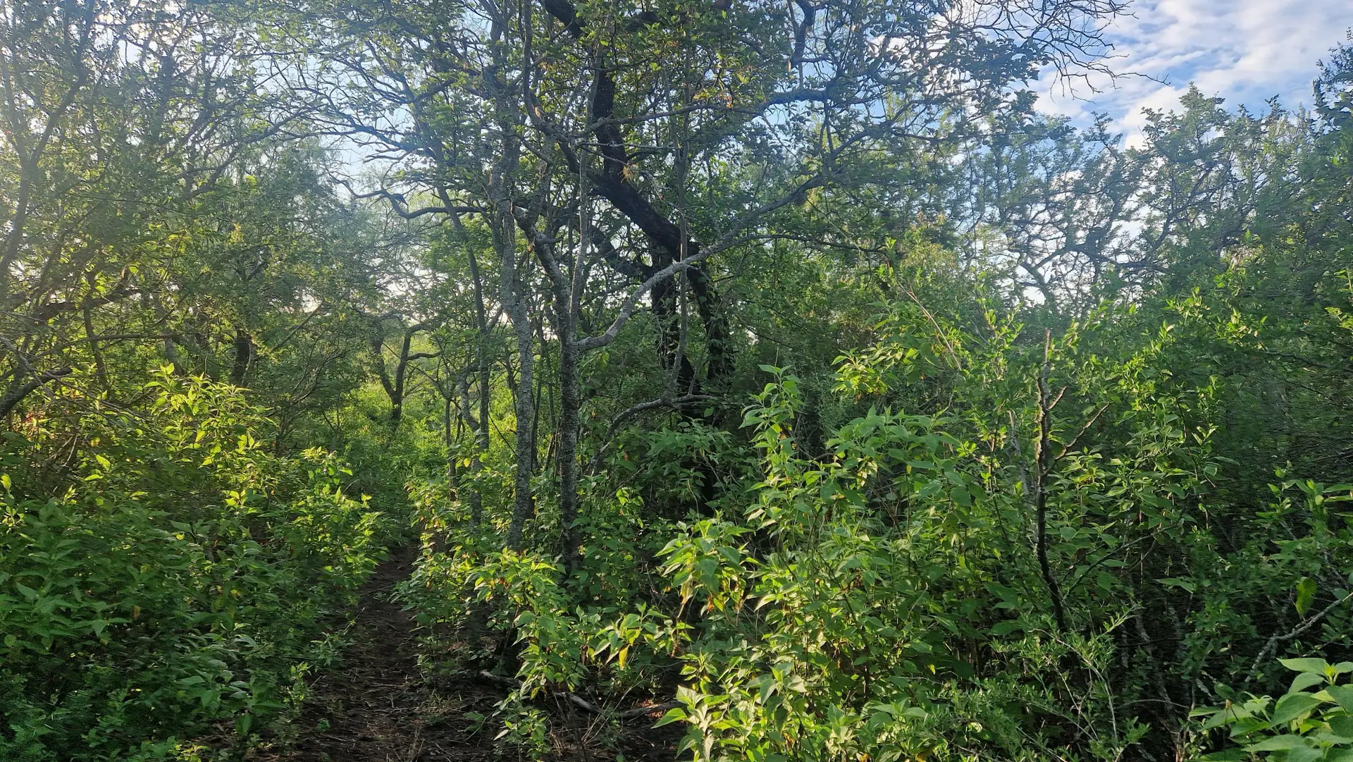 Terreno en venta · La Paz, San Javier, Córdoba