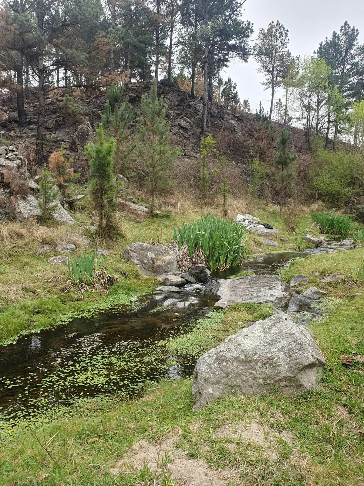 Foto 8