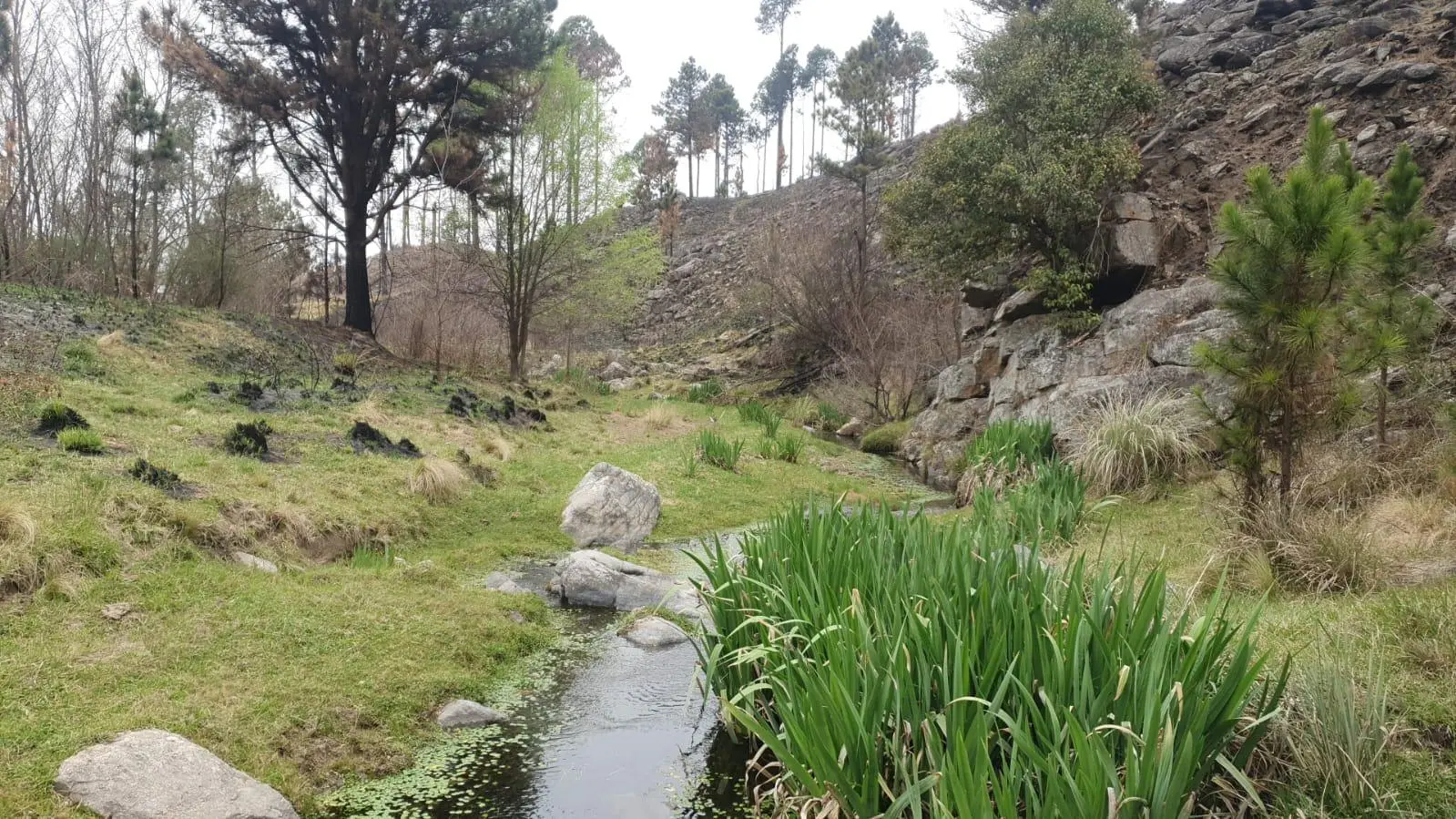 Foto 5