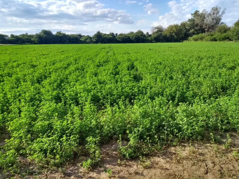 Terreno en venta · Cruz del Eje, Córdoba
