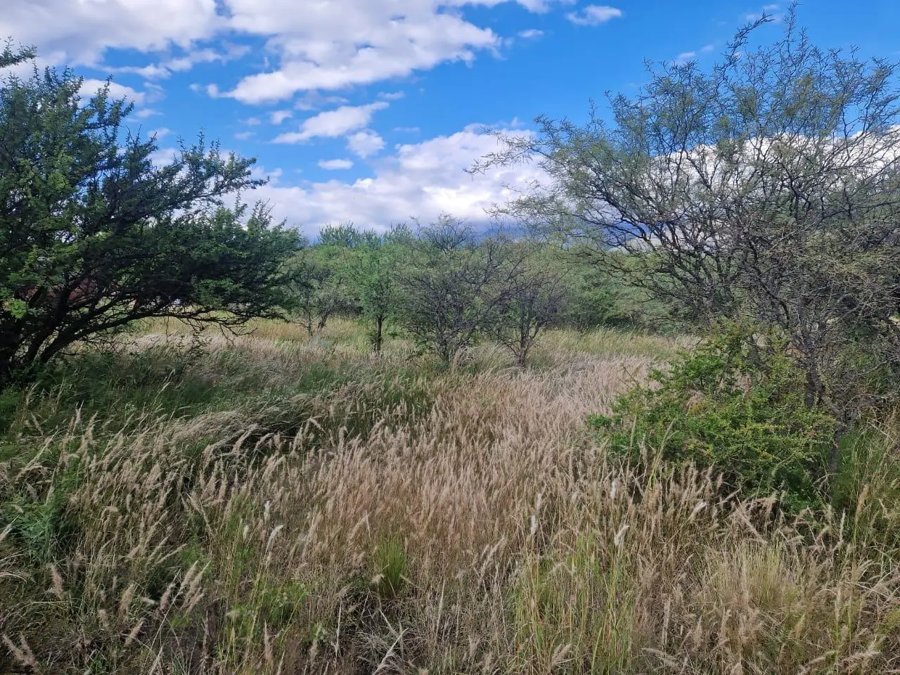 Terreno en venta · San Javier, Córdoba