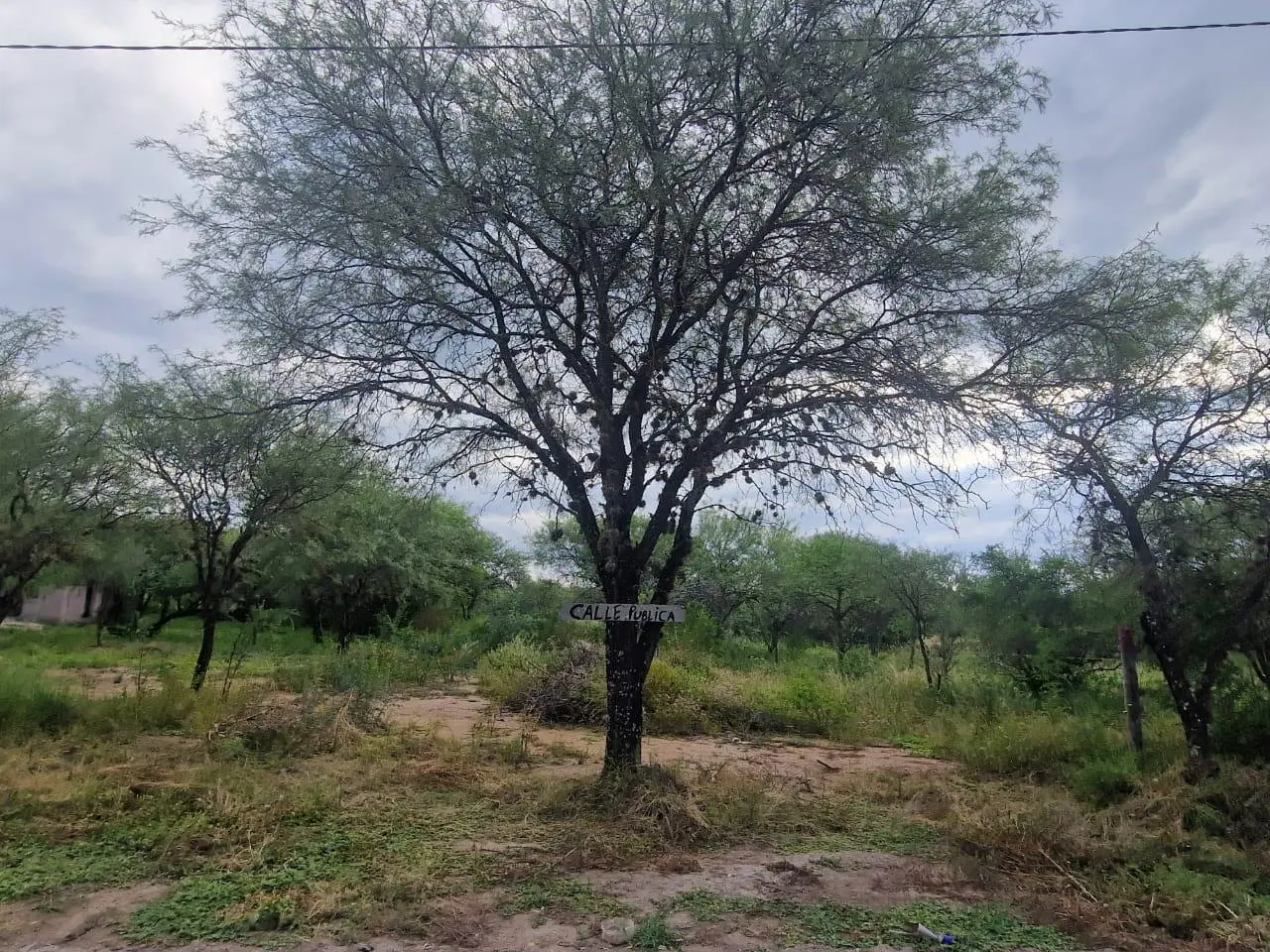 Foto 12
