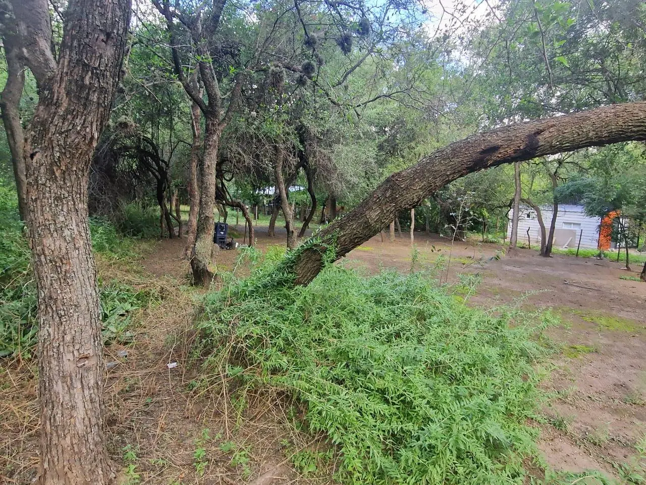 Foto 5