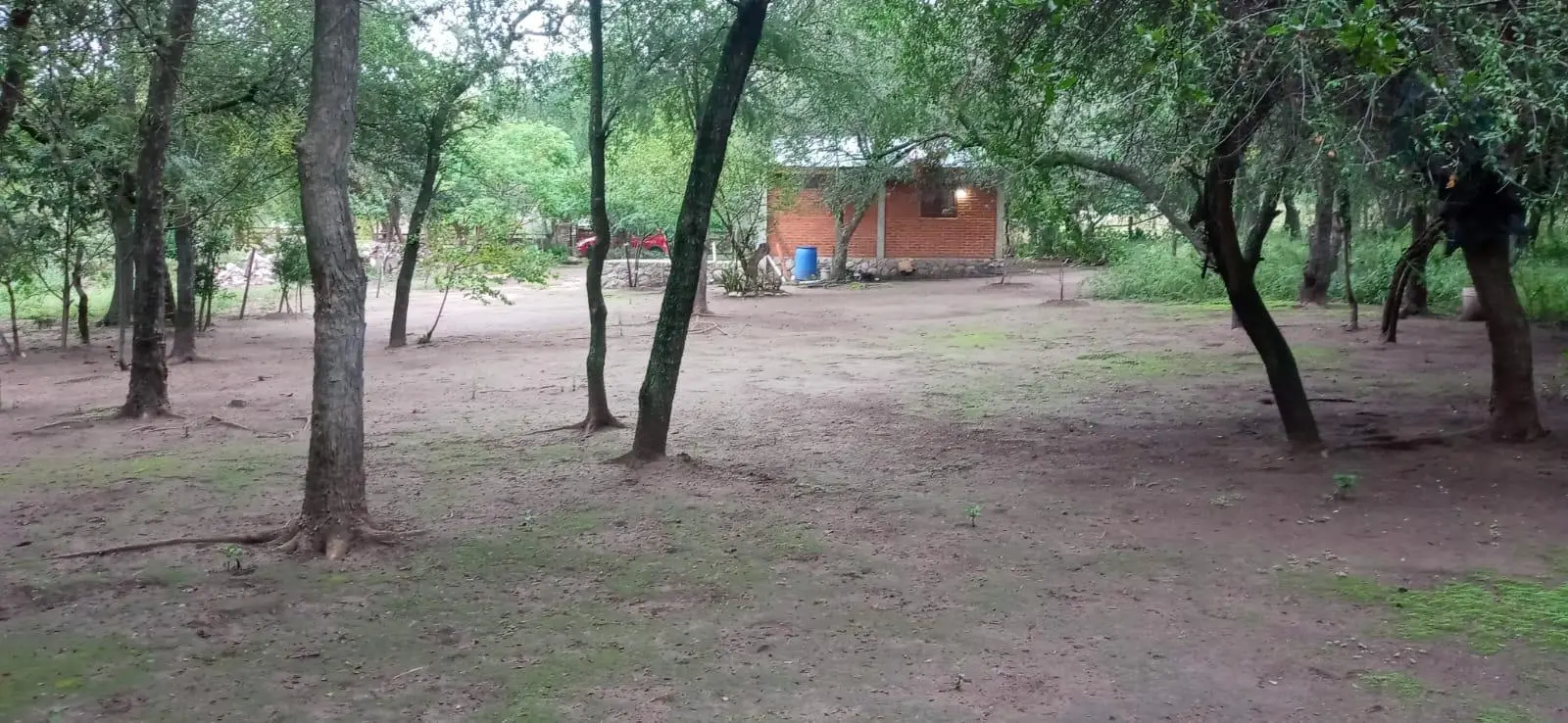Foto 14