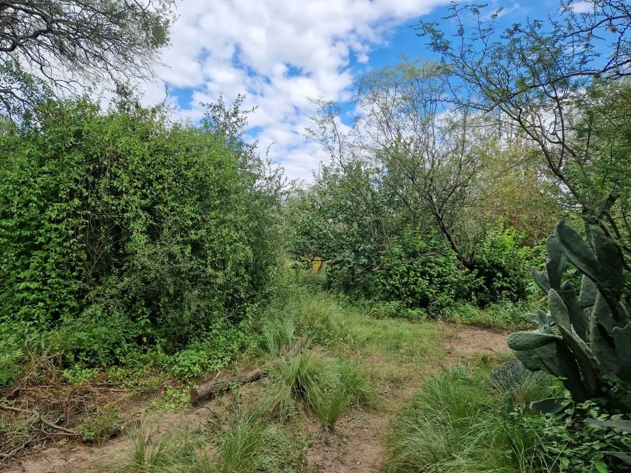 Terreno en venta · Villa de las Rosas, San Javier, Córdoba