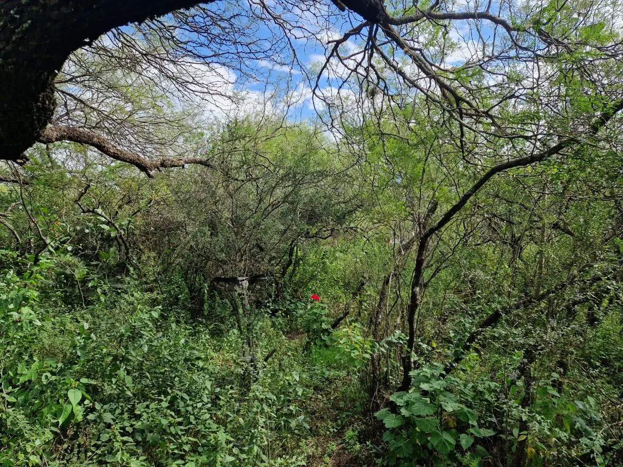 Foto 6