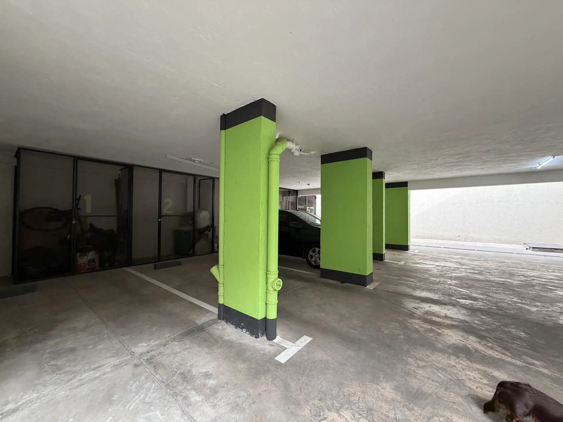 Foto 7