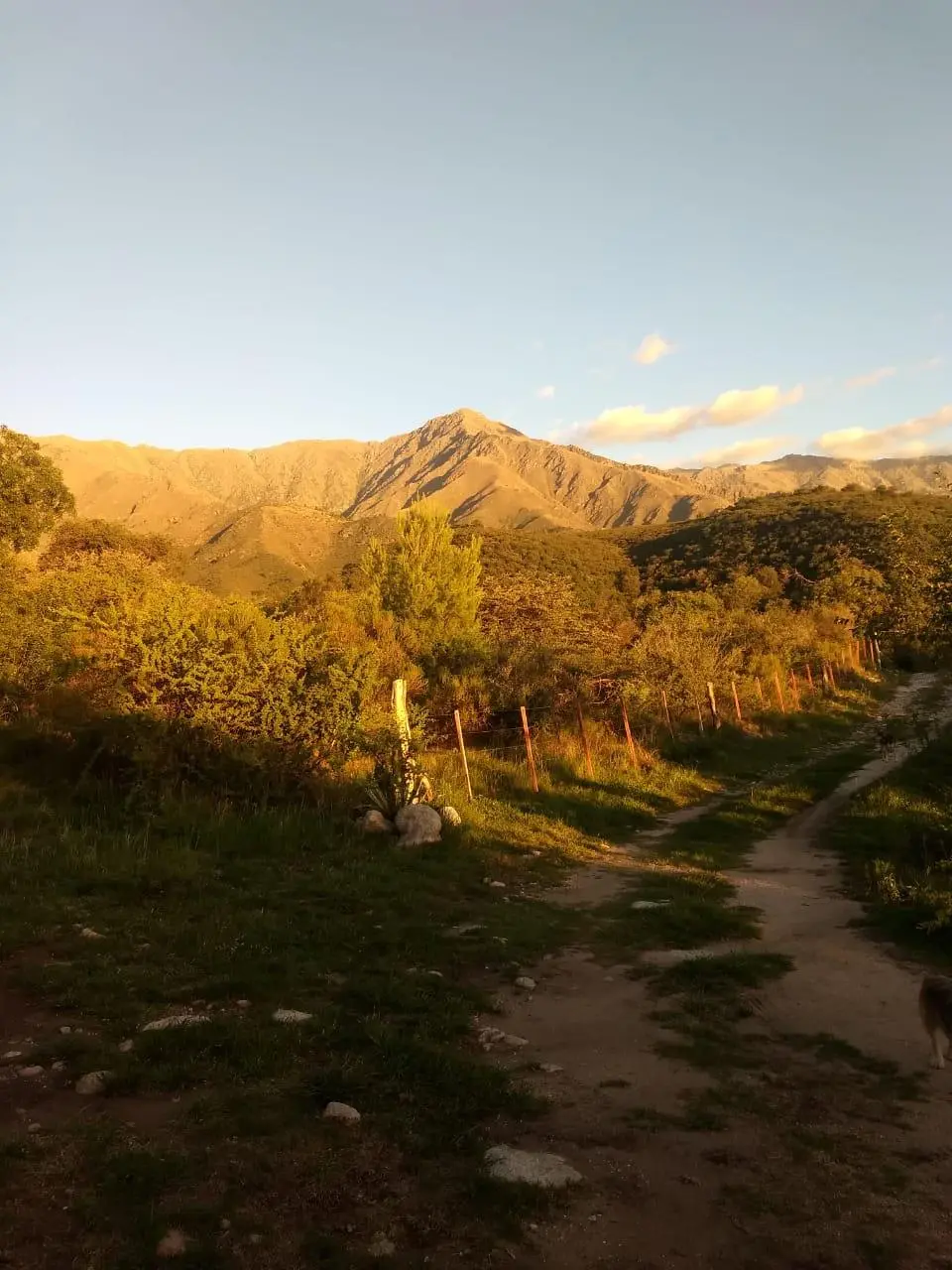 Foto 13