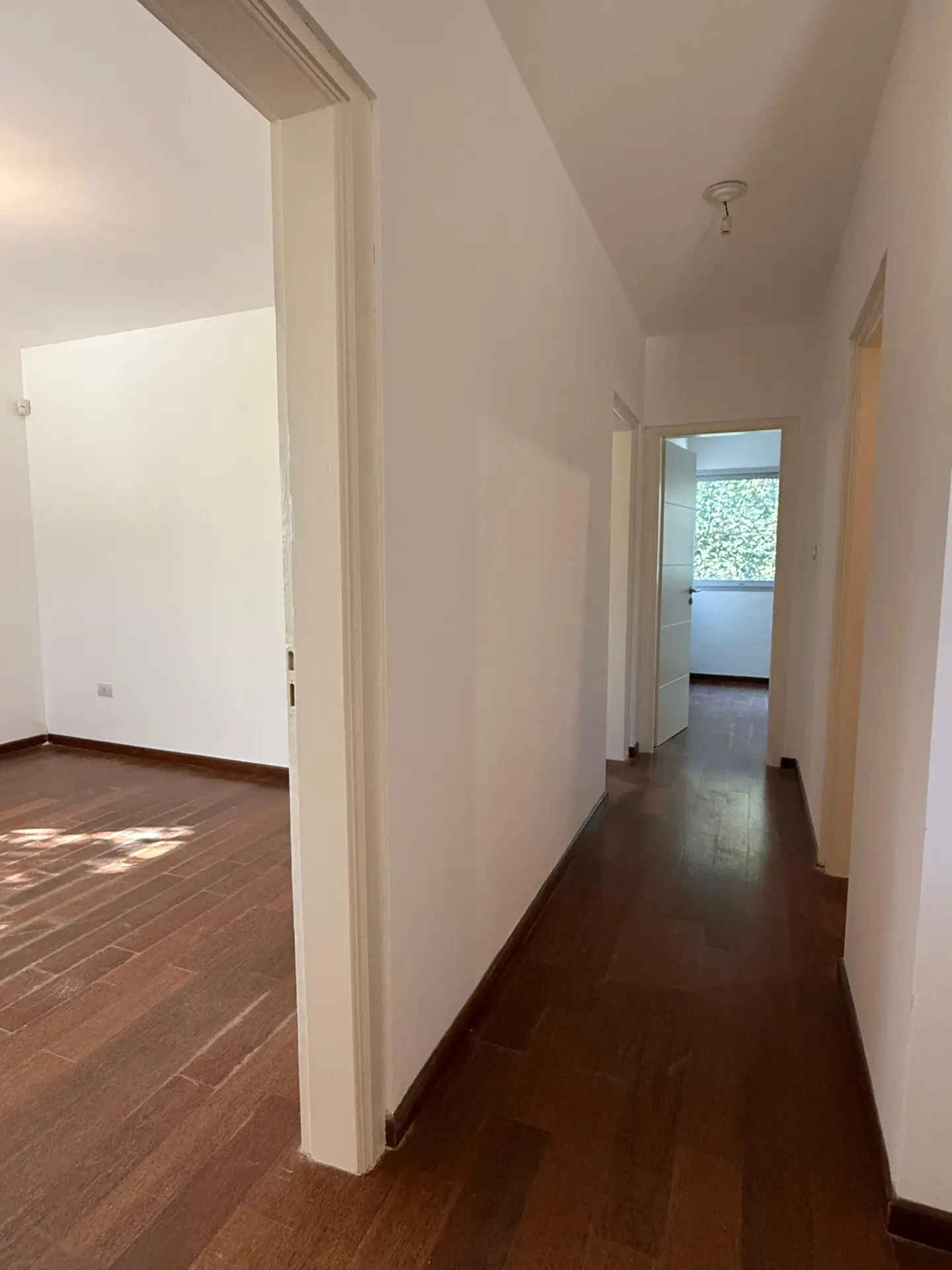 Foto 21