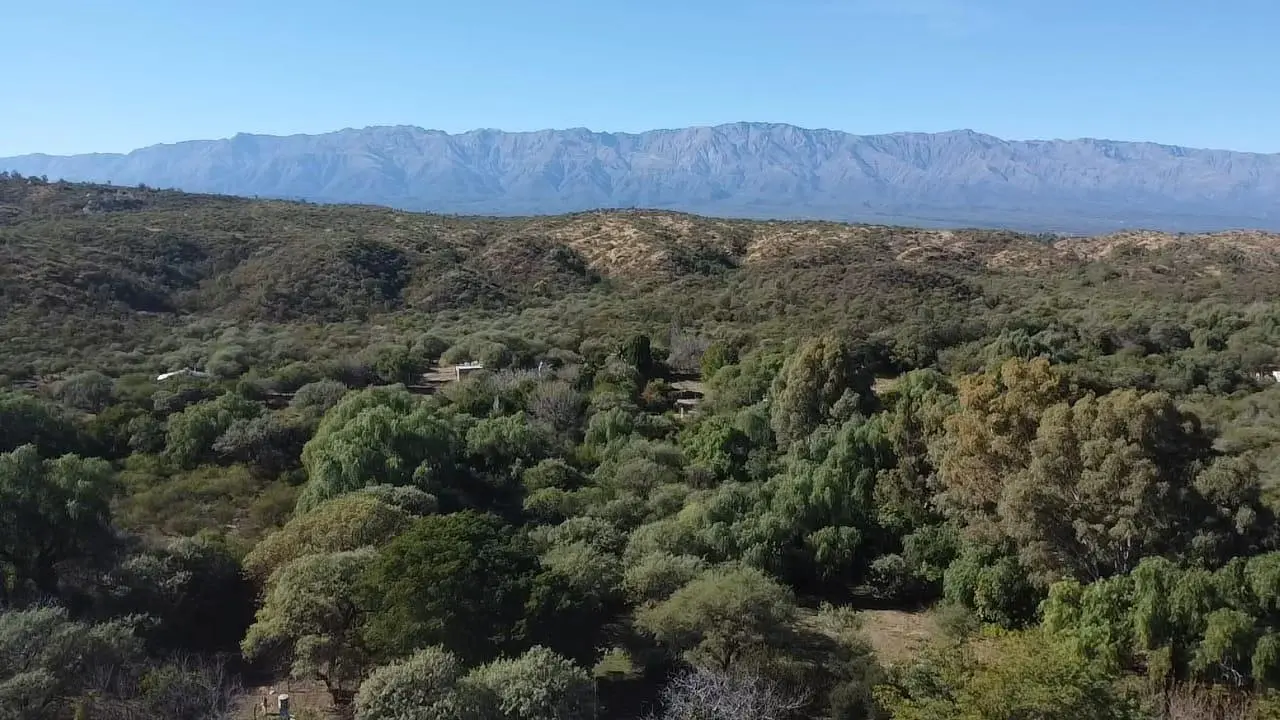 Foto 21