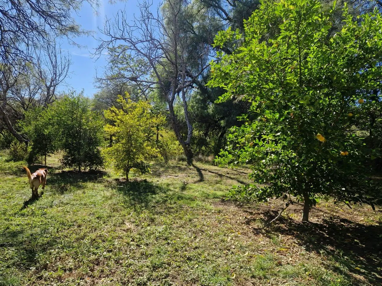 Foto 48