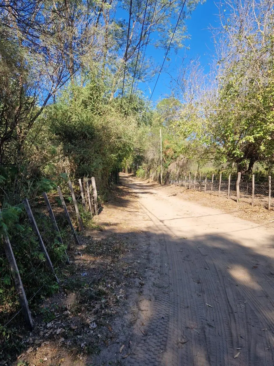 Foto 43