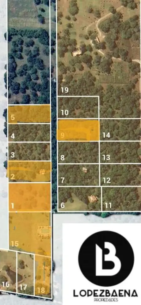 Foto 11