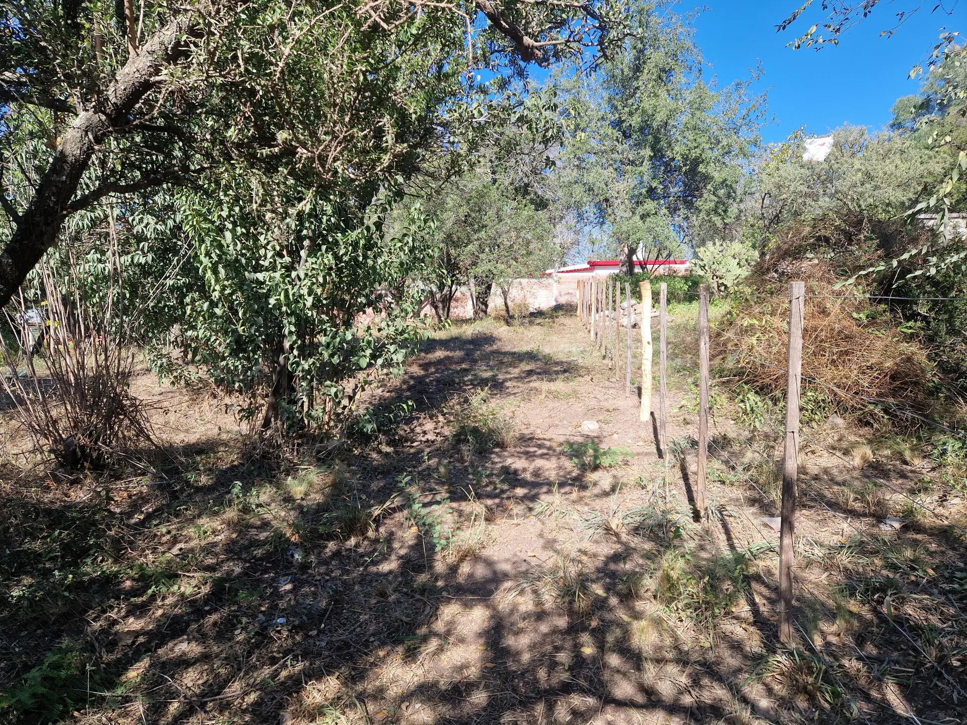 Foto 14