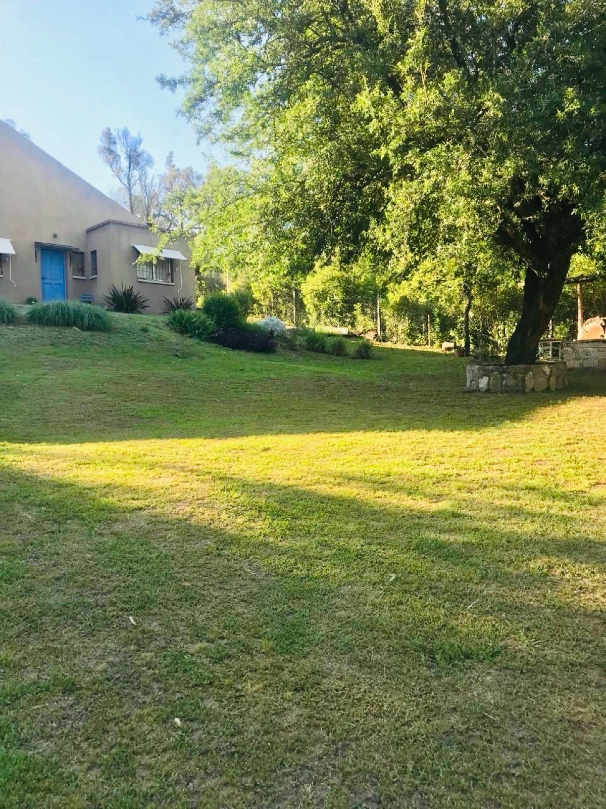 Foto 20