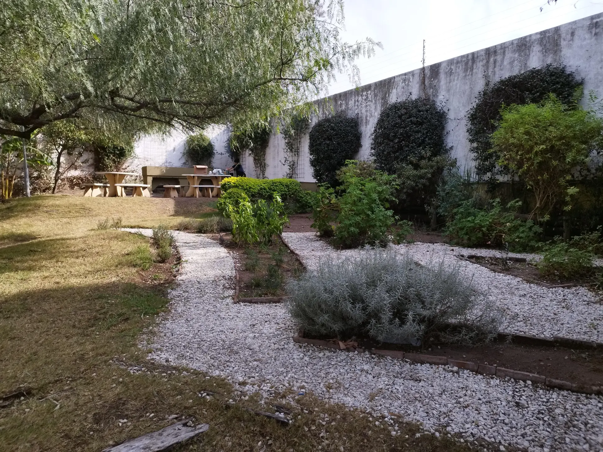 Foto 61