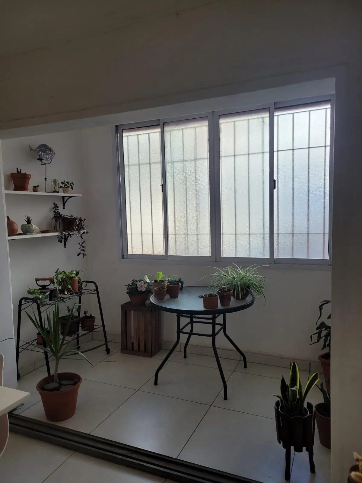 Foto 10