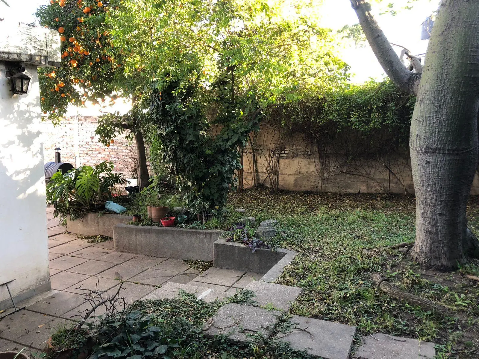 Foto 23