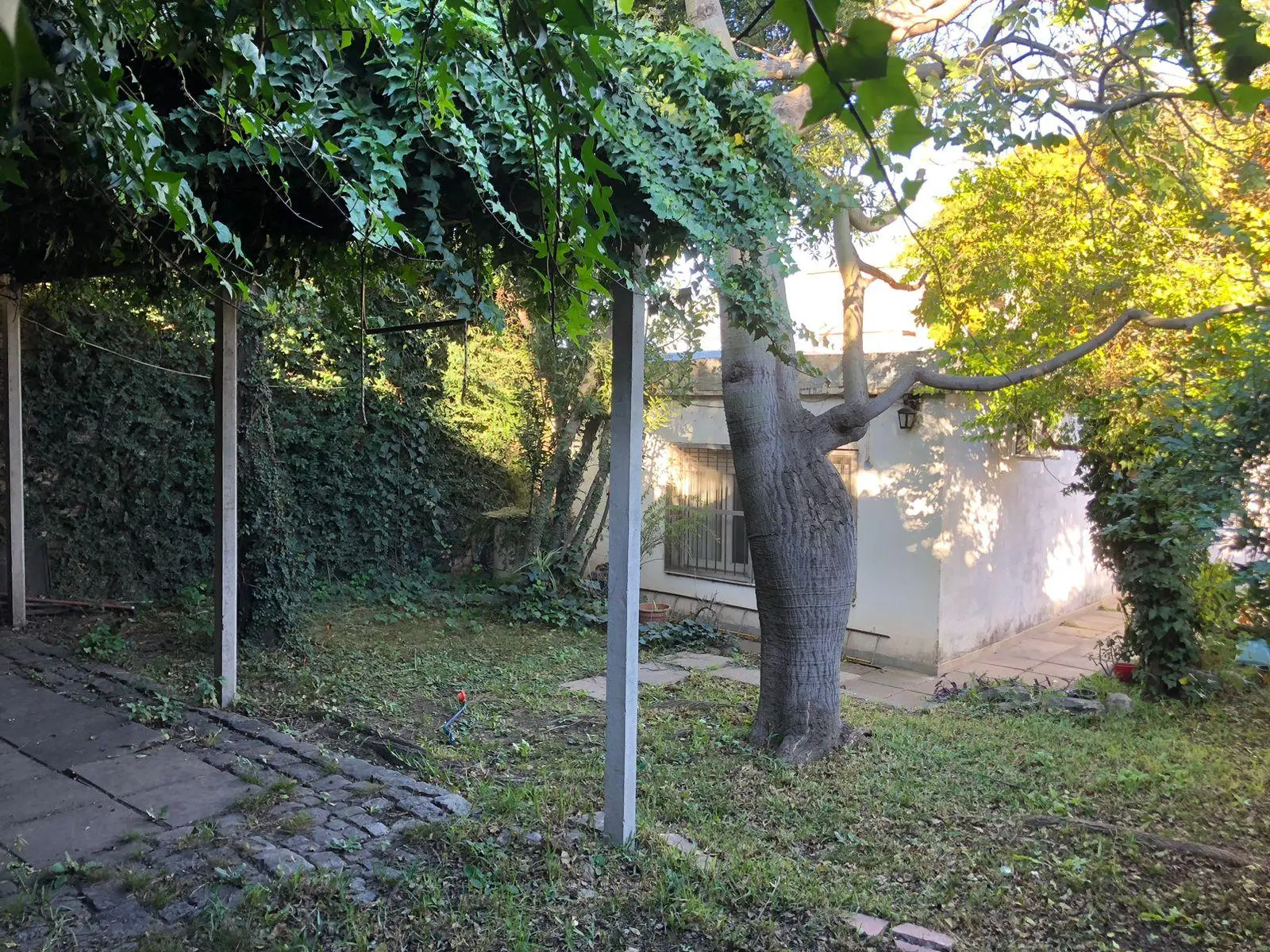 Foto 26