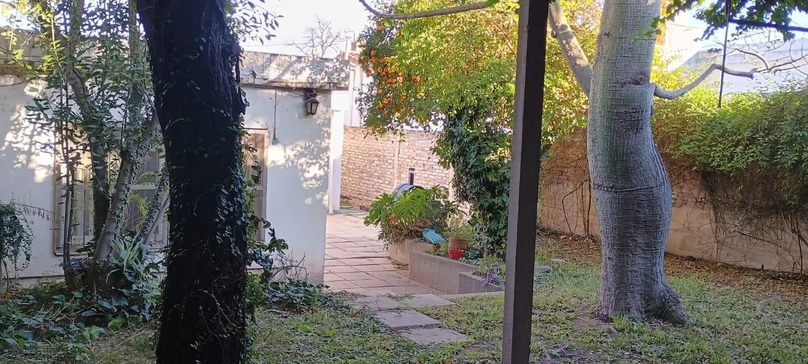 Foto 24