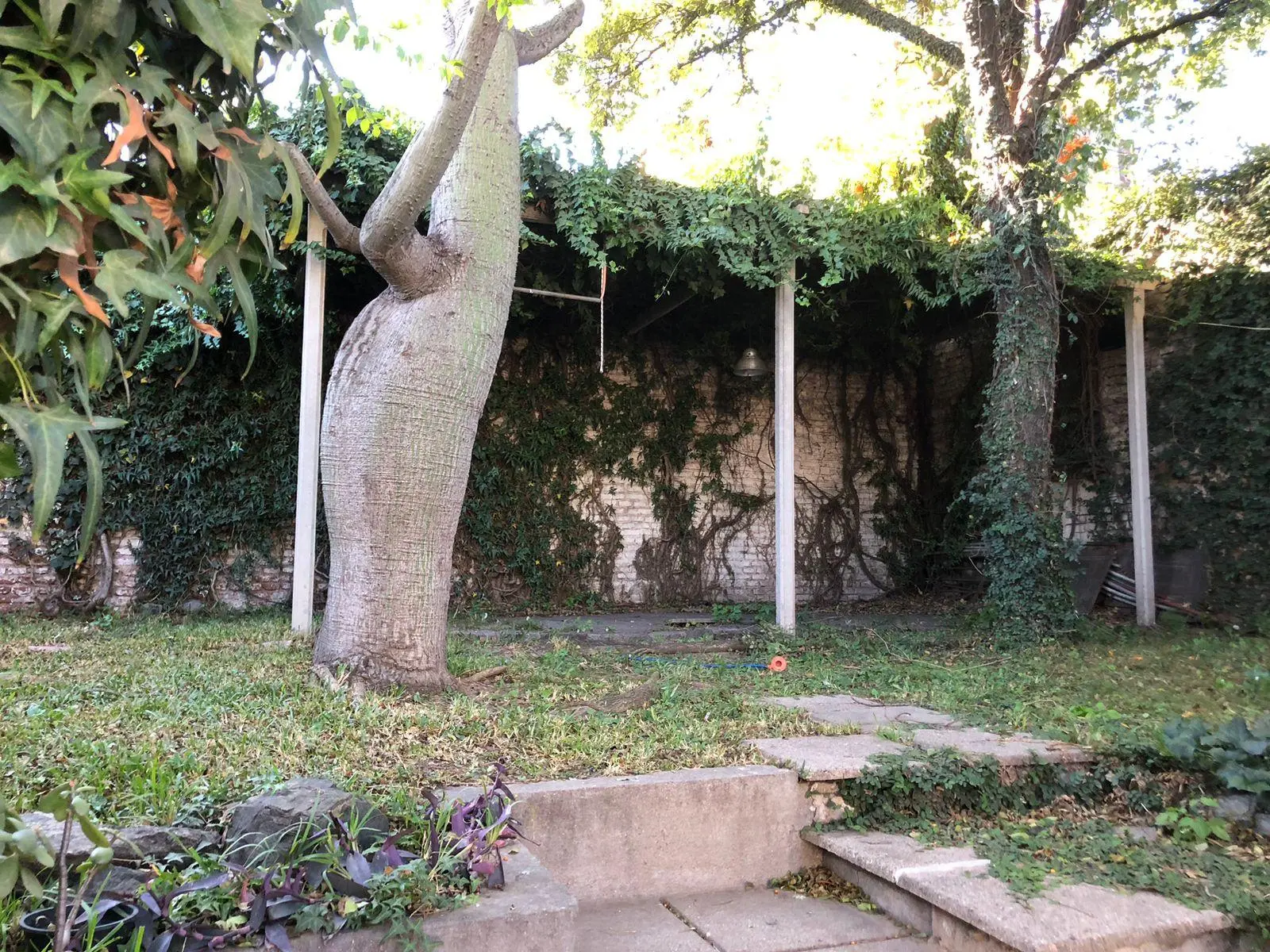 Foto 22